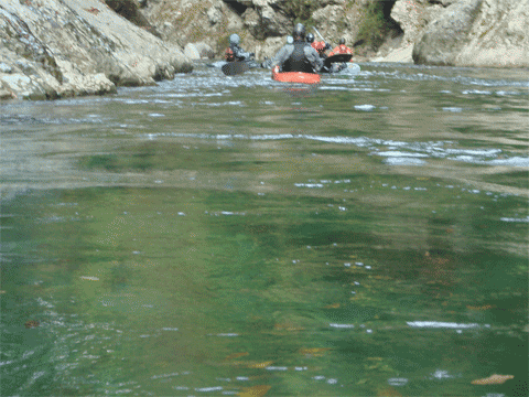 f0161874_1465251.gif