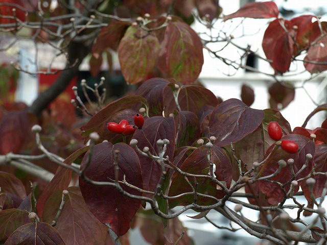 d0054276_19315361.jpg