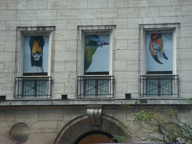 d0100880_05735.jpg