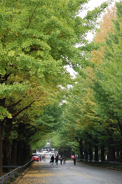 b0143983_87412.jpg
