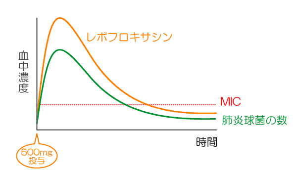 学会へ行こう！　3（PK-PD理論）_c0144883_20504795.gif