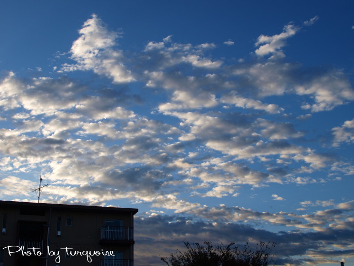c0201284_1718114.jpg