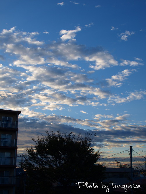 c0201284_17185261.jpg