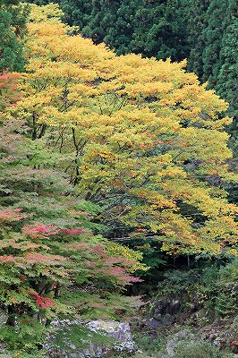 e0190885_2042649.jpg