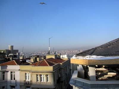 c0098087_16709.jpg
