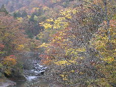c0171889_16142939.jpg
