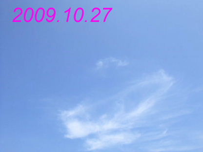 e0074192_1730222.jpg