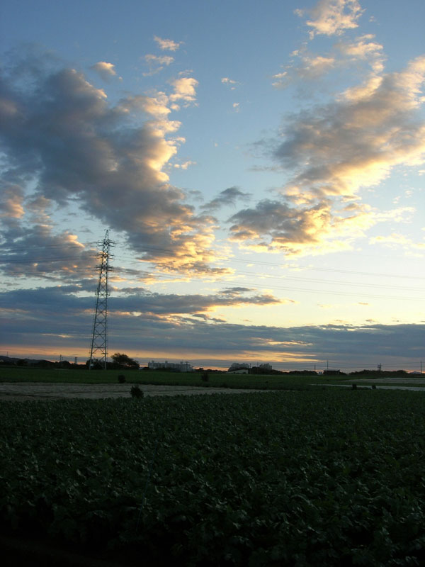a0102794_1661359.jpg