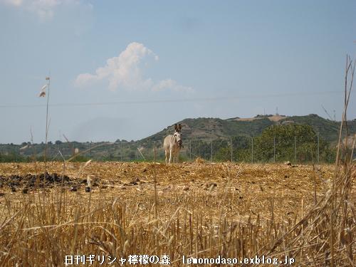 c0010496_3315046.jpg