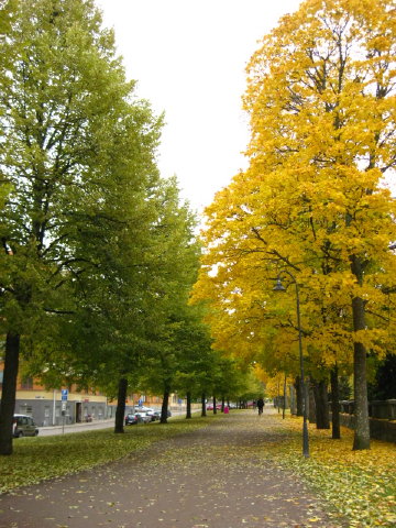 c0180096_5281474.jpg