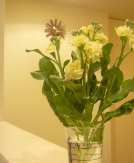 e0186603_03325.jpg