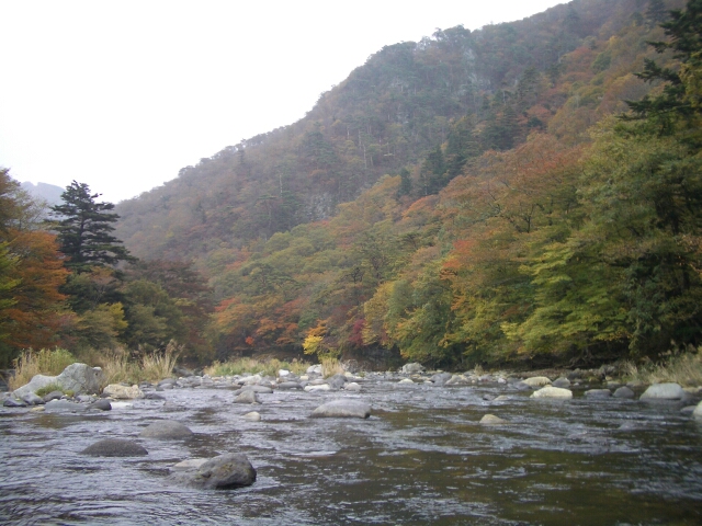 b0172805_32642.jpg