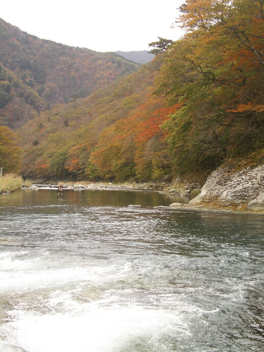 b0172805_3284943.jpg