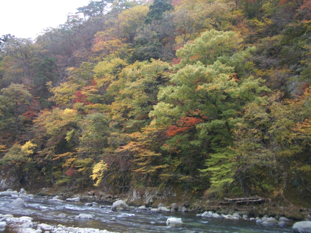 b0172805_3295559.jpg