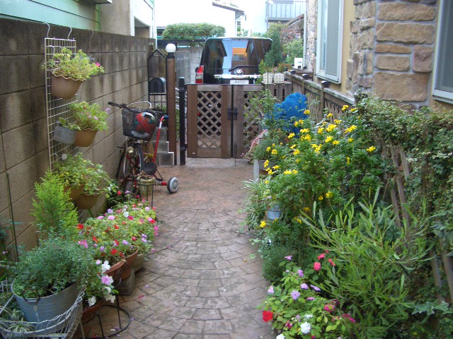 c0116610_974788.jpg