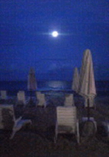 Moonlight&Sunset_c0188610_23341349.jpg