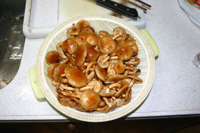 f0011412_2046329.jpg