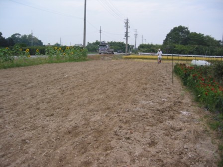 「なたね 播種」_a0120513_1432211.jpg