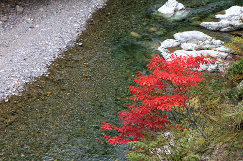 由良川上流 美山_e0048413_22293169.jpg