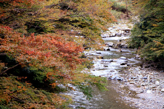 由良川上流 美山_e0048413_22305547.jpg
