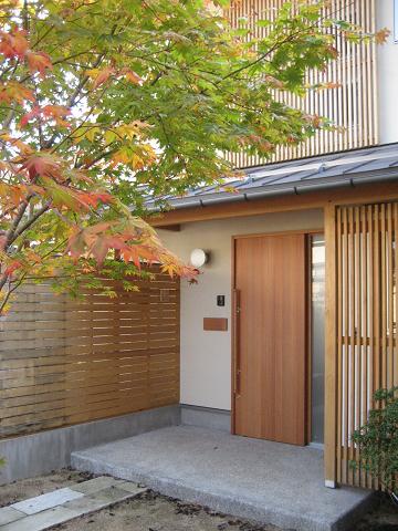 ハウチワカエデ_d0105615_18543678.jpg