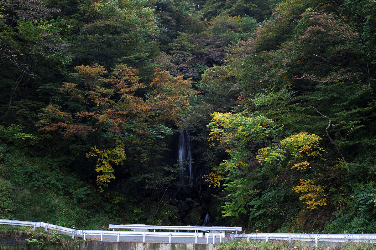 徳山湖（岐阜県揖斐川町）_c0115616_17115036.jpg