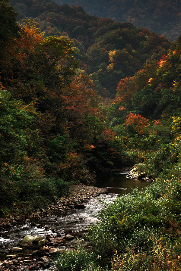 徳山湖（岐阜県揖斐川町）_c0115616_1714729.jpg