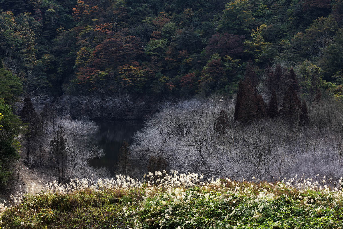 徳山湖（岐阜県揖斐川町）_c0115616_17151414.jpg