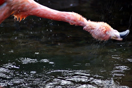 b0027825_13525469.jpg