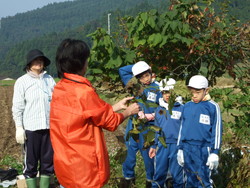 服間小学校の子供達が大豆の収穫をしました_e0061225_13475824.jpg