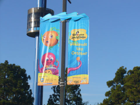 e0071725_920107.jpg