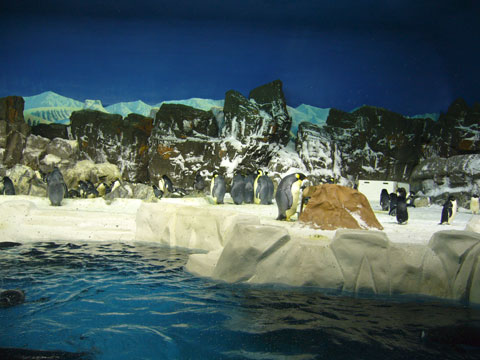 e0071725_9245950.jpg