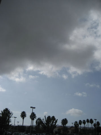 e0185225_77517.jpg