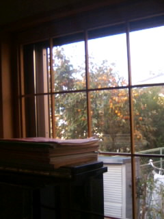 c0223446_7501886.jpg