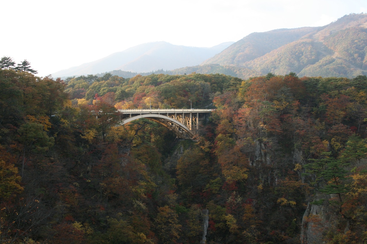 d0115262_219020.jpg