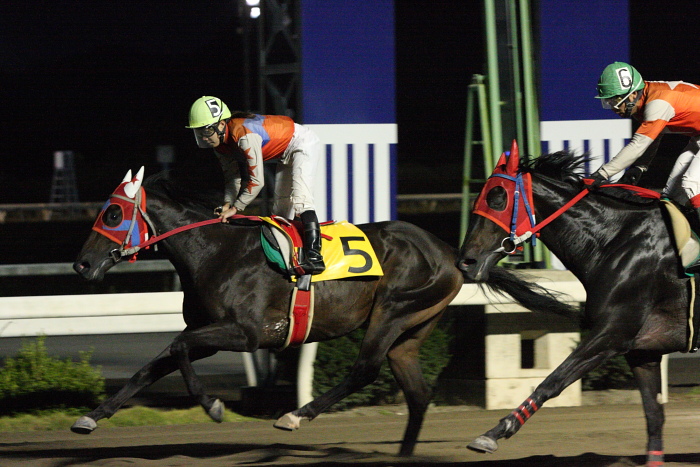 2009年10月24日(土) 高知競馬 5R E9_a0077663_6475610.jpg
