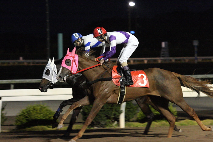2009年10月24日(土) 高知競馬 5R E9_a0077663_648543.jpg