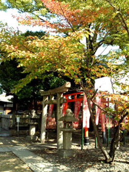 京都の紅葉_b0153663_1735434.jpg