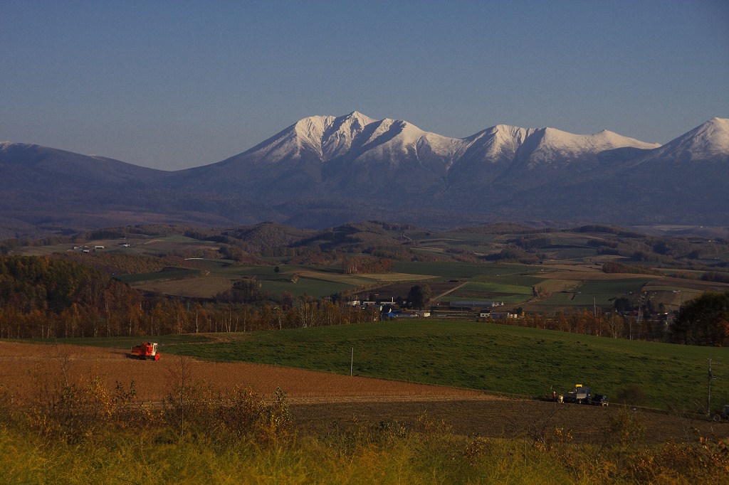 b0076972_10124952.jpg
