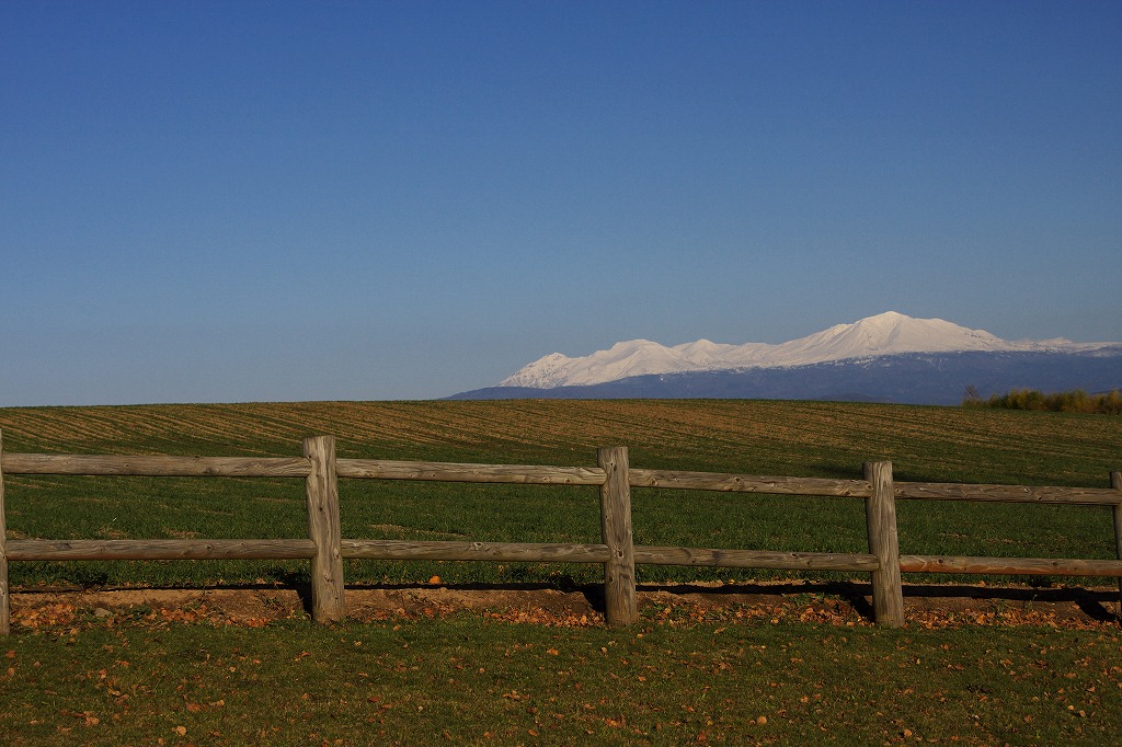 b0076972_10131147.jpg