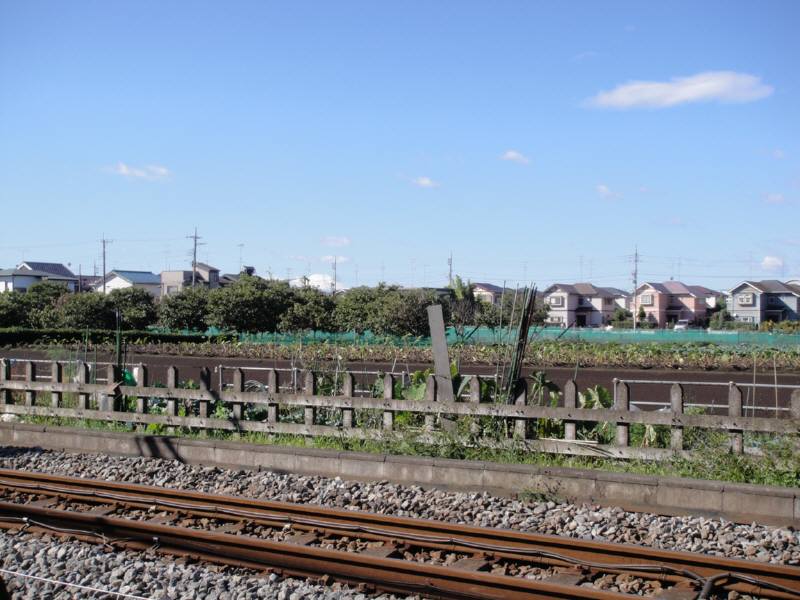 f0059673_3424057.jpg