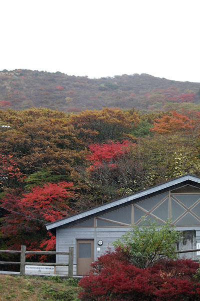 紅葉まだかな～♪Ⅱ_c0152779_15313184.jpg