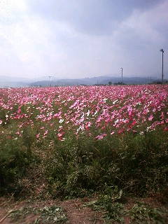 e0055980_2154560.jpg