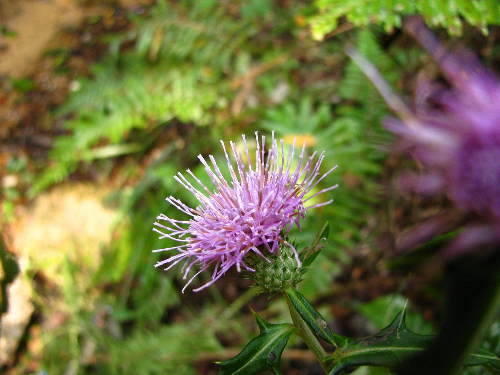e0024081_16303982.jpg