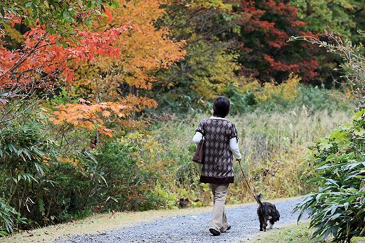 岡山県立森林公園_e0190885_17575911.jpg