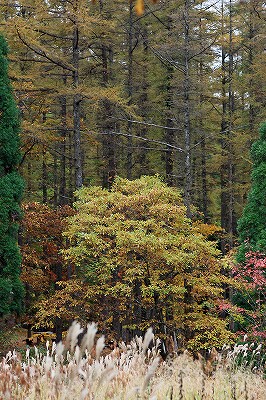 岡山県立森林公園_e0190885_1759032.jpg