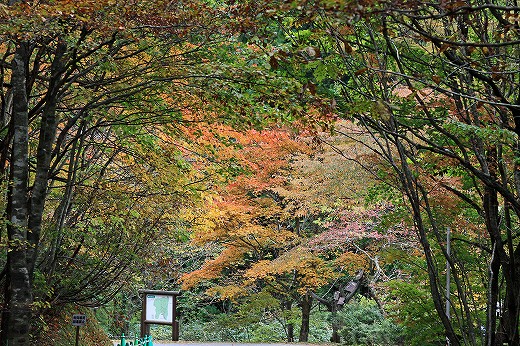 岡山県立森林公園_e0190885_1804942.jpg