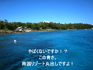 うぁお～　最高じゃないですか！　ラチャヤイ島_f0144385_2333842.jpg