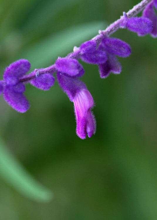 e0169286_1610226.jpg