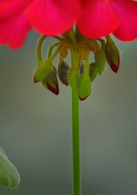e0169286_16118100.jpg